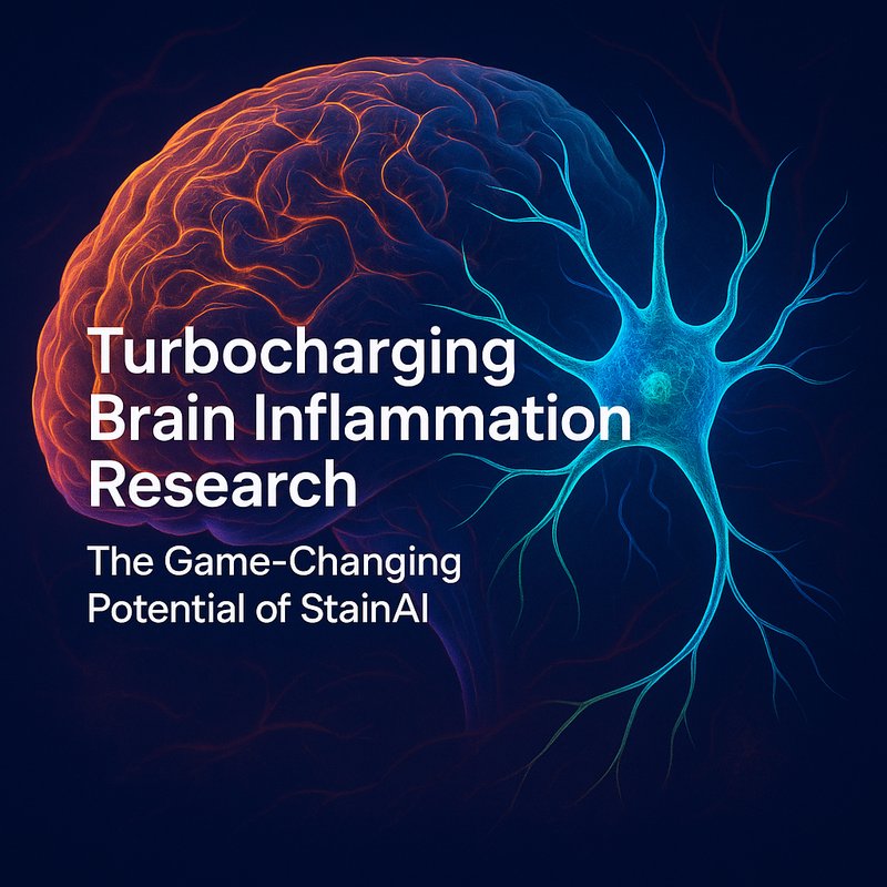 StainAI Brain Inflammation Research
